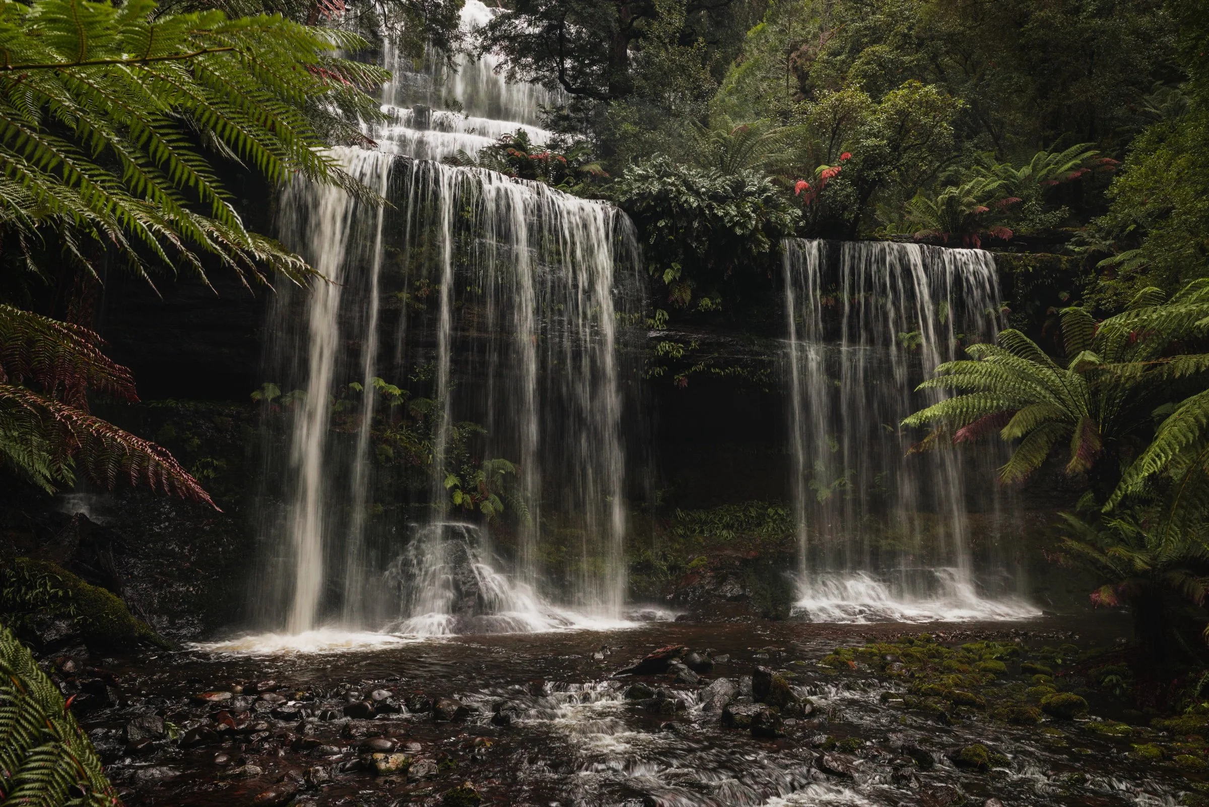 russell-falls-tasmania-print-art.jpg
