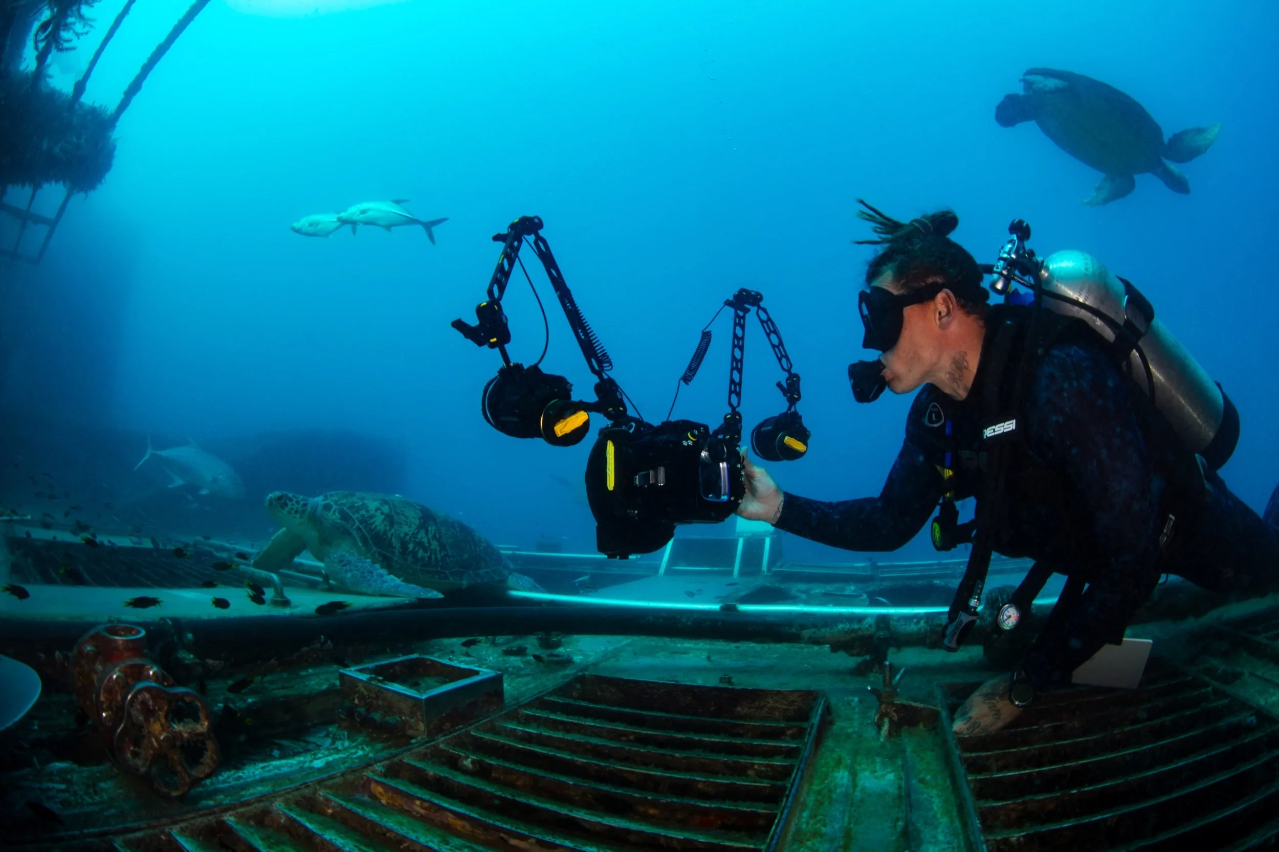 Dan Tonkin photographing turtles underwater with his SEA&SEA camera housing.