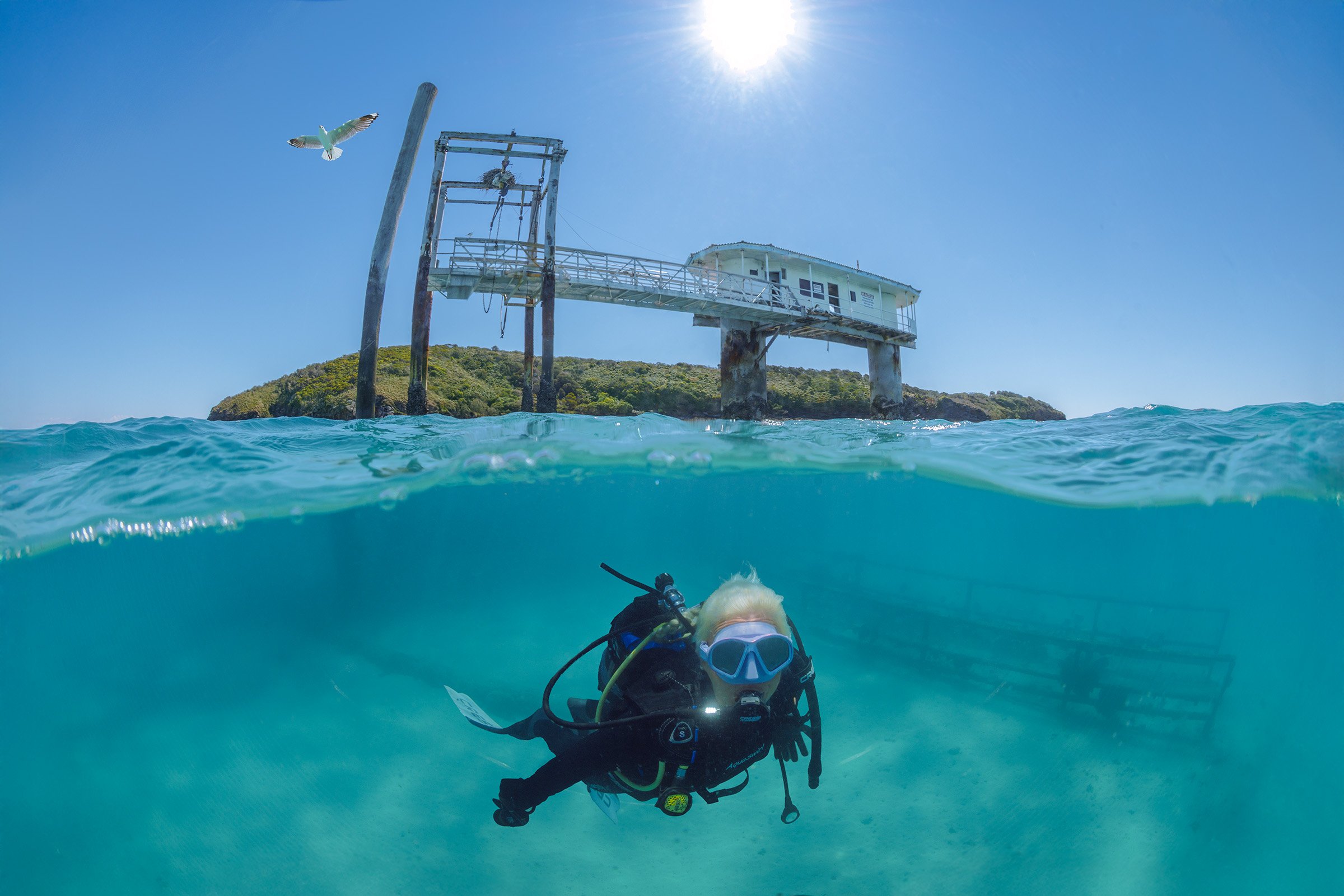 03-dive-experience.jpg