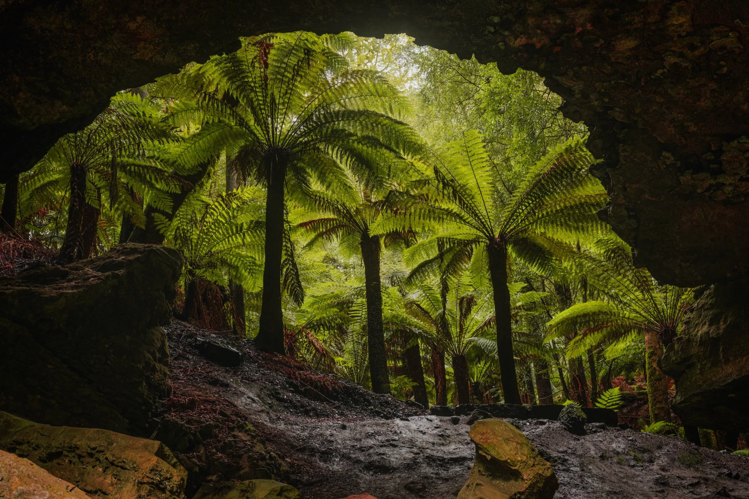 trowutta-arch-tasmania-print-art.jpg