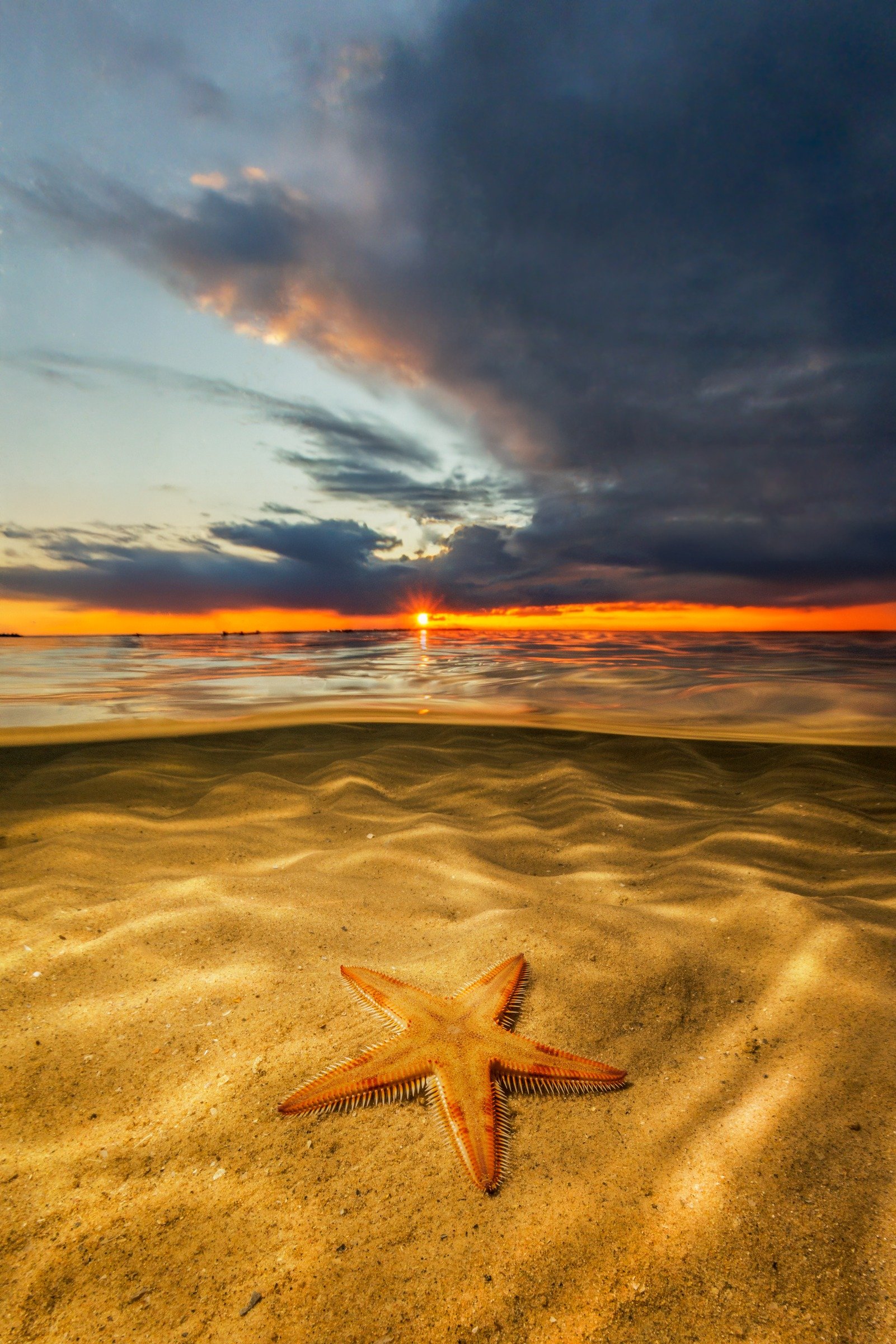 A starfish rests on rippled sand beneath the waterline, while the setting sun glows below dark clouds in this Hervey Bay split shot.
