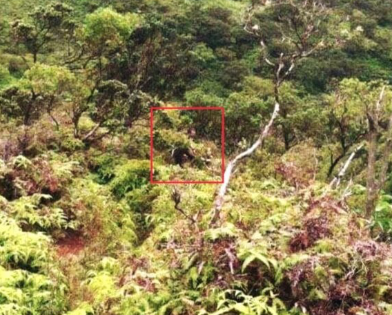 The Unexplained Disappearance of Daylenn Pua