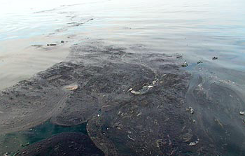 Mysterious Black Ocean Goo  
