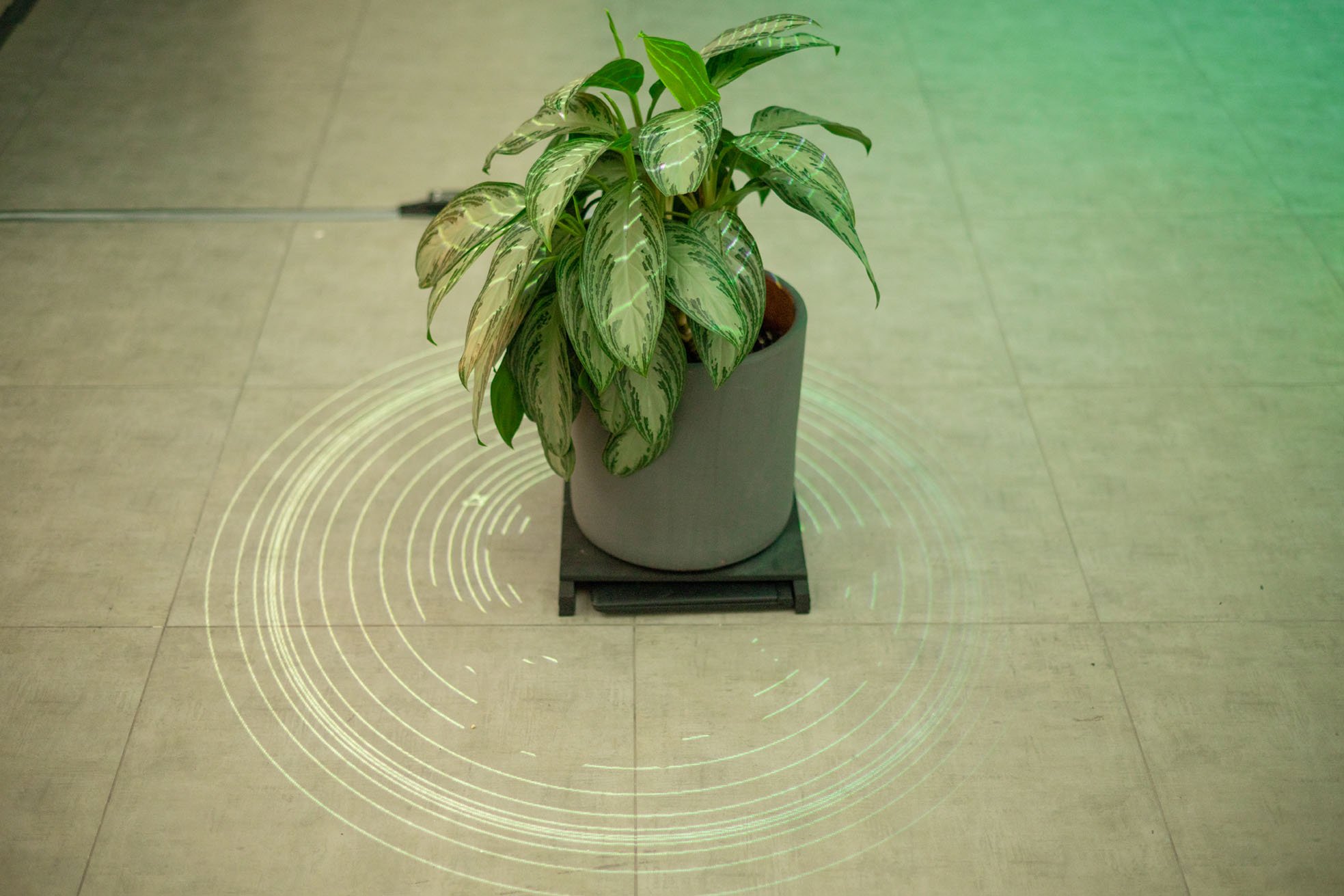 exposicin-poticas-artificiales_53346107882_o.jpg