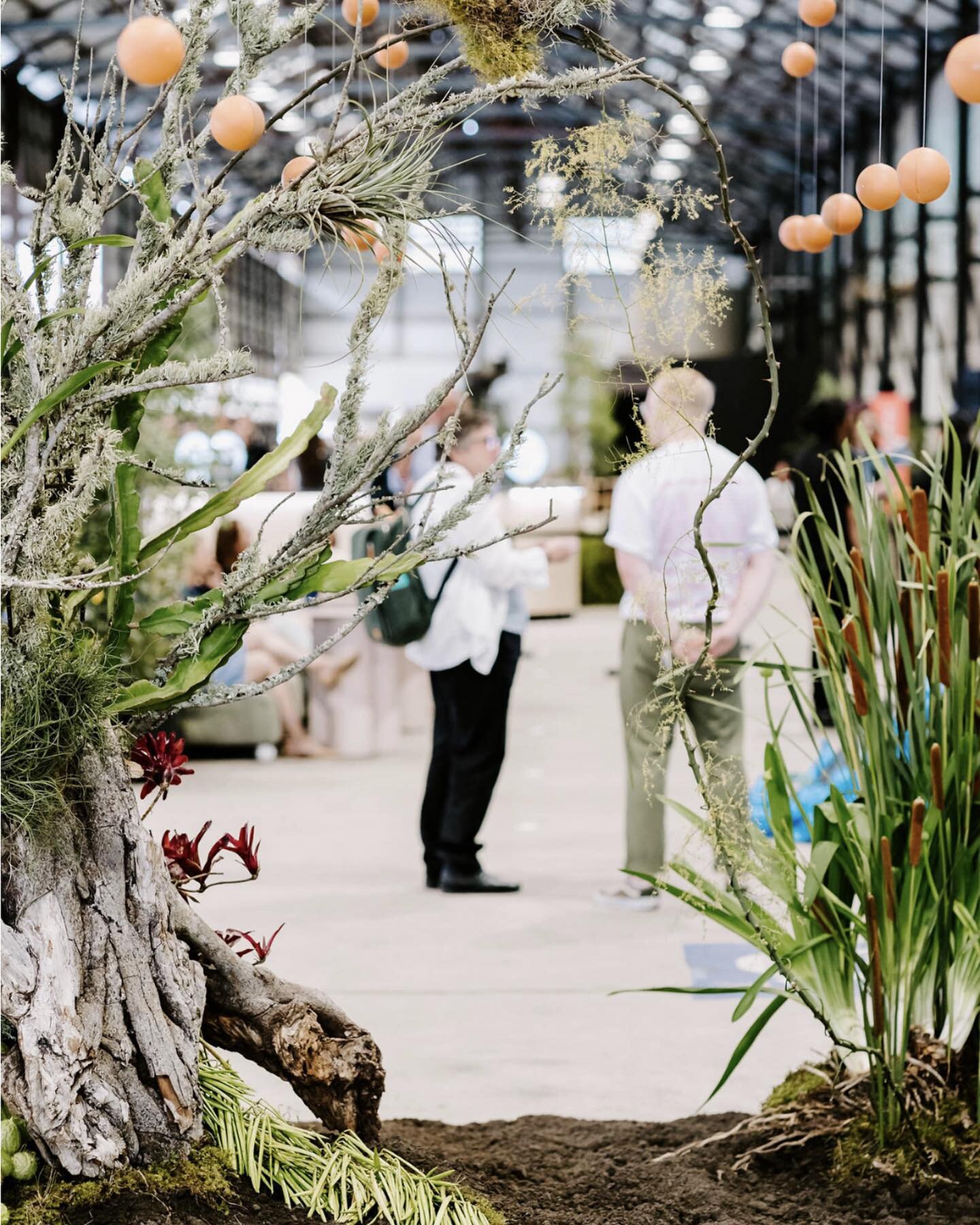 Working from the mindset of &quot;The Earth is our church&quot;, Lismore based duo Selena Murray and Bob Horan are @immortalsoil, artists of nature based installations. Their brief: Bring the Symbiocene to Purpose. What unfolded was a stunning creati