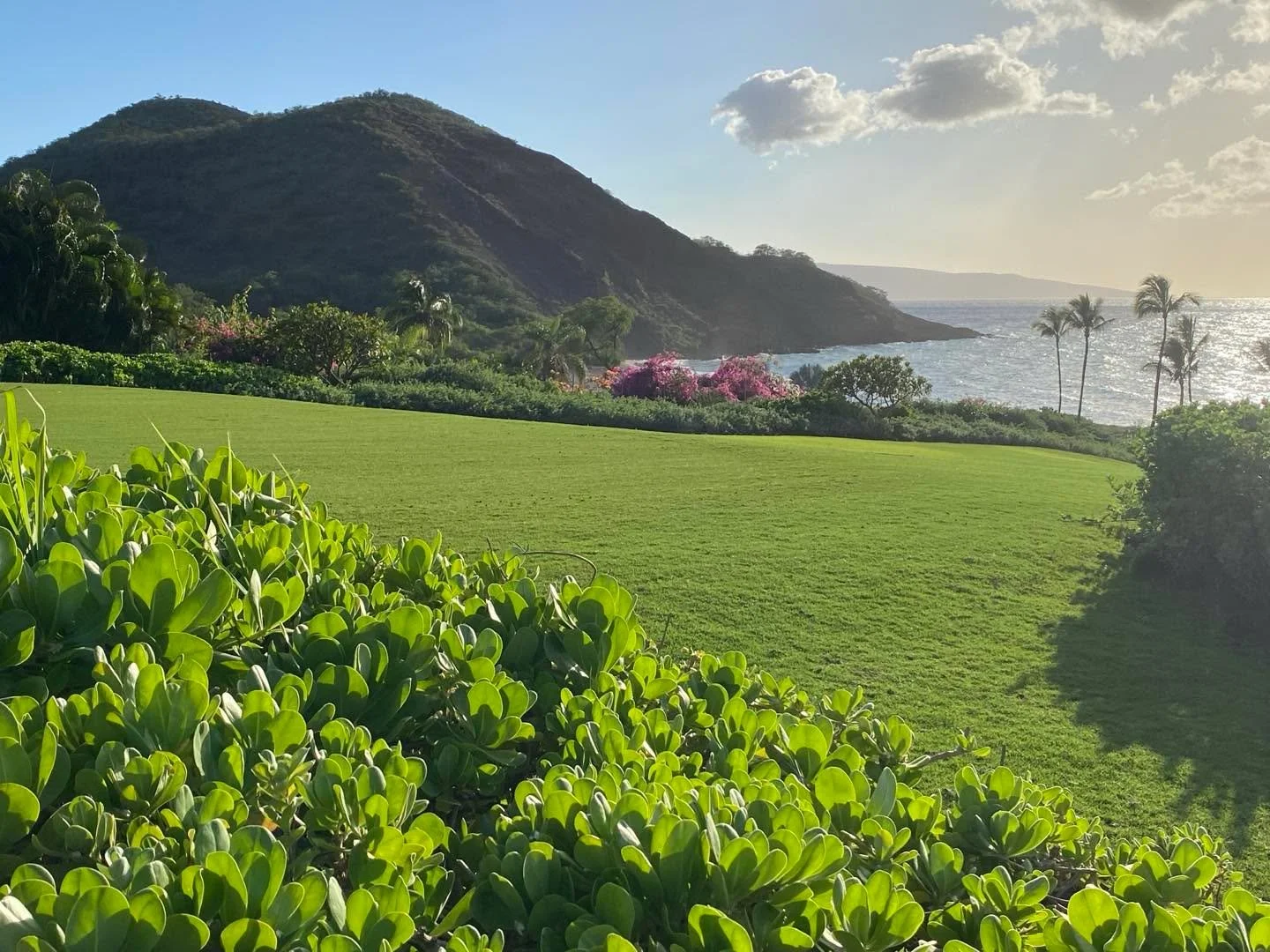 A brief pause in our freezing New England day to reflect on this fabulous place&hellip;And fun projects that need to be photographed!  #maui #makena #interiordesign