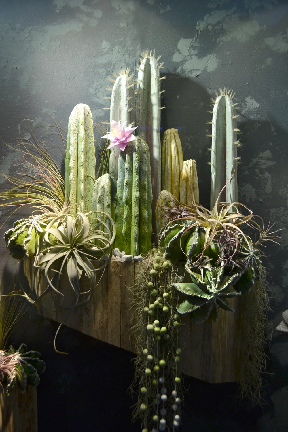 CACTUS002 copy.jpg
