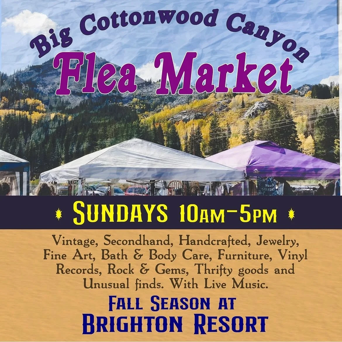 Come see PND at Big Cottonwood Flea Market this Sunday, 9/21! 🎉

Though it&rsquo;s almost fall this will be my first (and possibly only) market of the season. I&rsquo;m beyond excited to get out there, be part of the community, show my work, and see