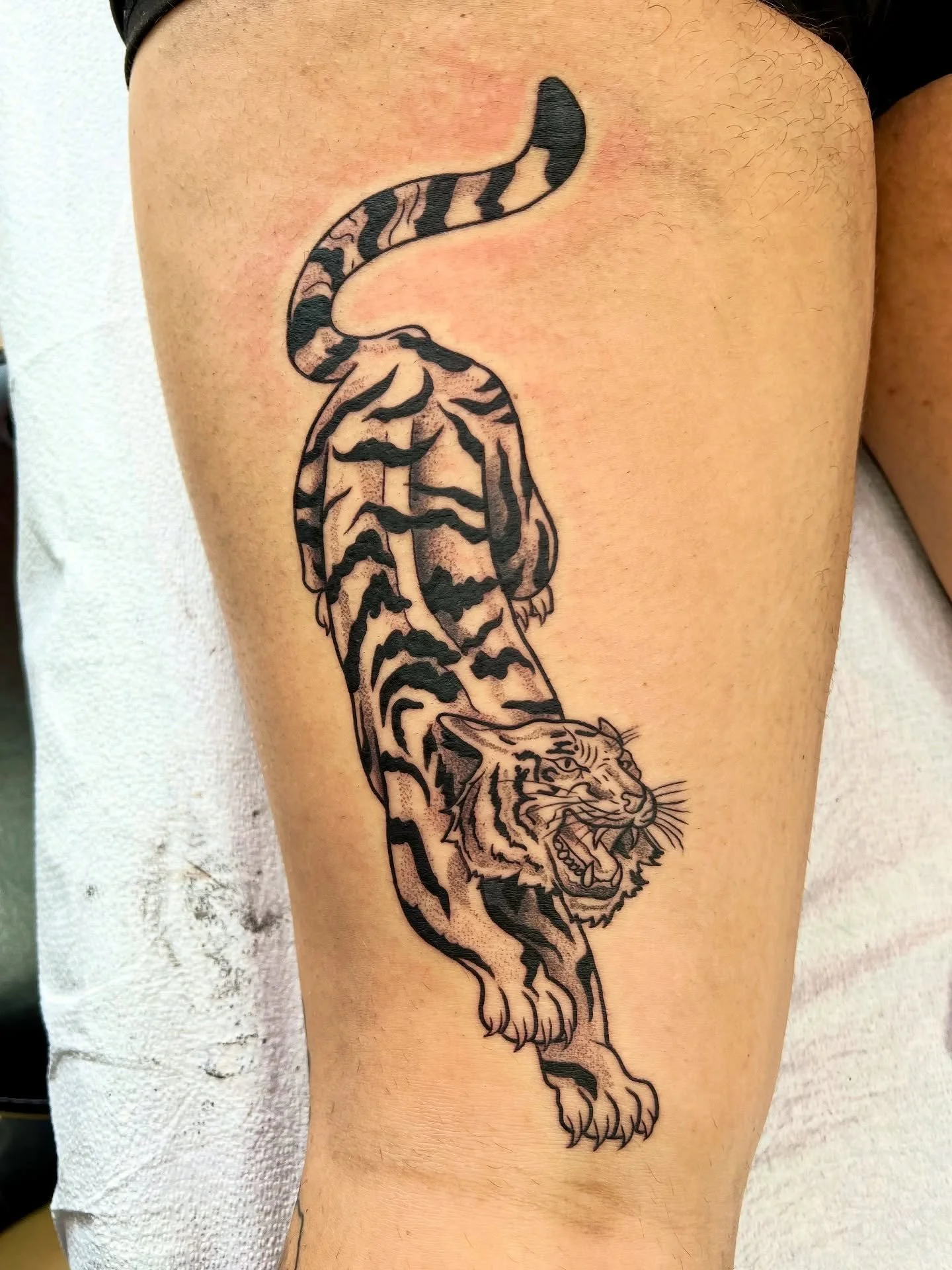 These furious friends have found the best home 🐯🐆💯💪💖✨
Every time I get the chance to tattoo big cats I’m over the moon!! Always bring me them 😍🥰😍
Happy Wednesday!!!
.
.
.
#tattoo #tattooartist #tattooart #cat #bigcat #bigcattattoo #tige