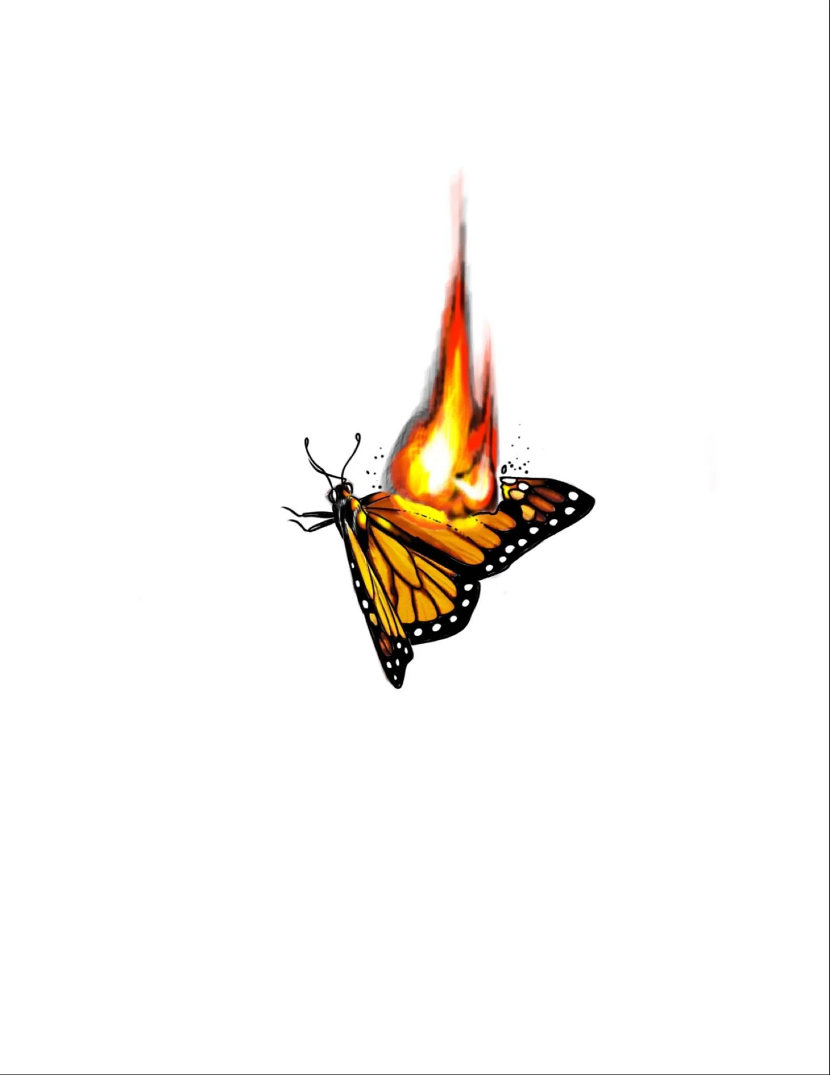 Flaming monarch design available to be tattooed! ๐ฆ ๐ฅ pricing depends on the size you want her. Dm or text me at 970.703.5501 to claim her. 
.
.
.
#butterflytattoo #firetattoo #butterflyonfire #flashtattoo #realismtattoo #firetattoo #longmonttattoo