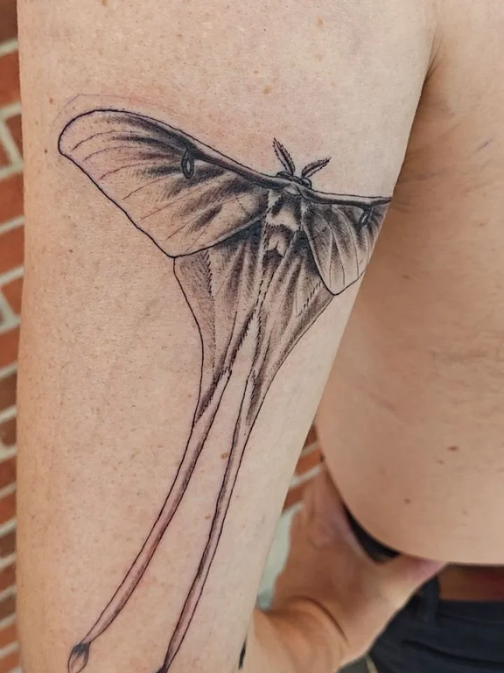 Beautiful moff from my flash for John! ๐  Books for customs are now OPEN! 
.
.
.
Made with:
๐Made at the queer, poc, women/womxn, witch-friendly space, @shieldmaidentattoo 
#Tattoo #Tattoos  #LongmontTattoo #WomenTattooers #QueerTattooers #Colorad