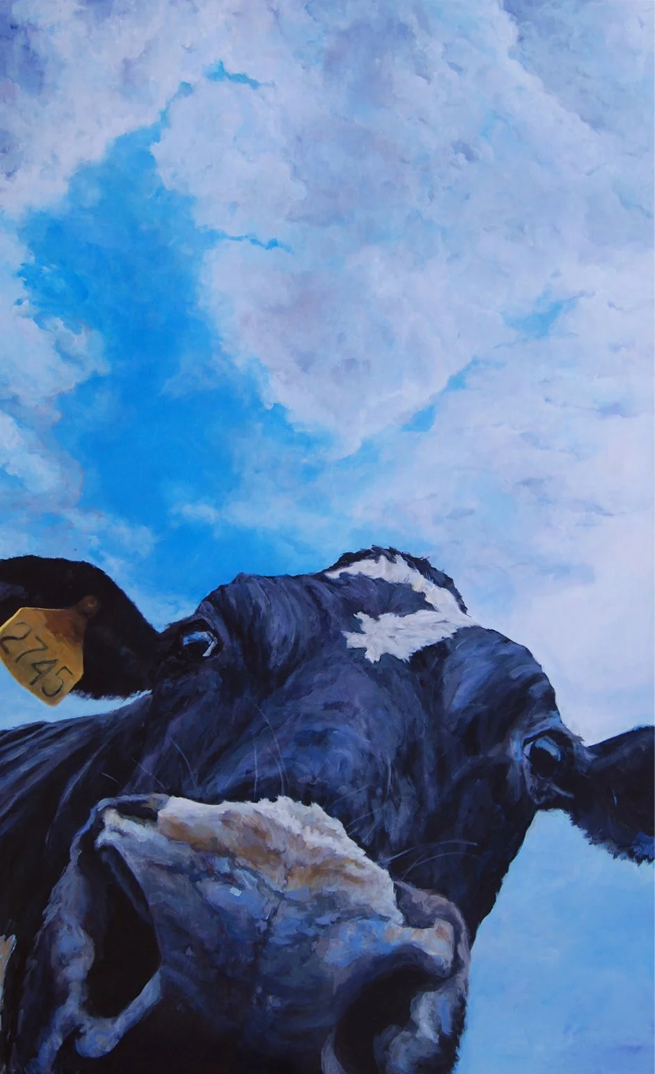 cow, perspective, quirky