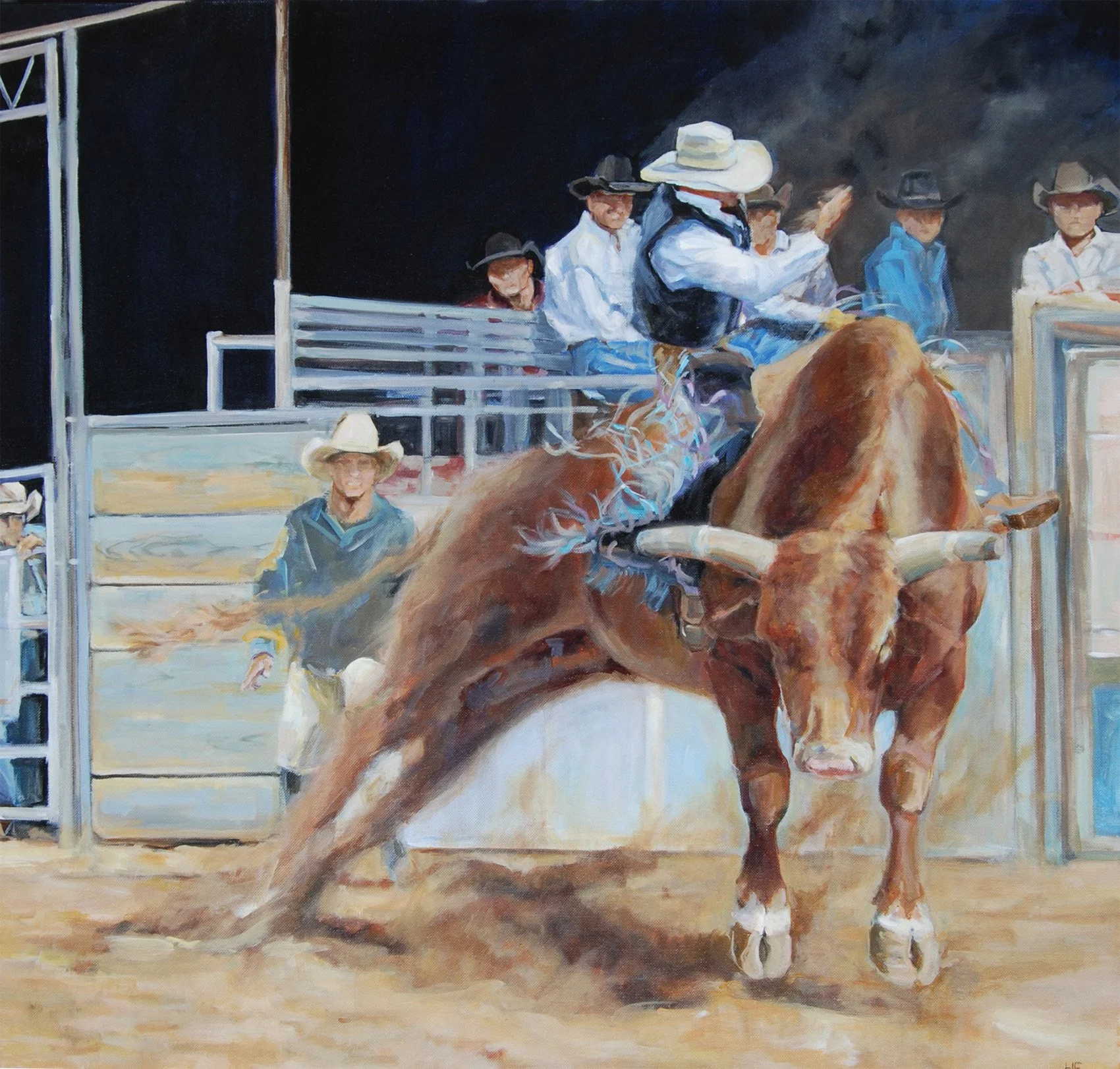 rodeo, bull rider, cowboy, western