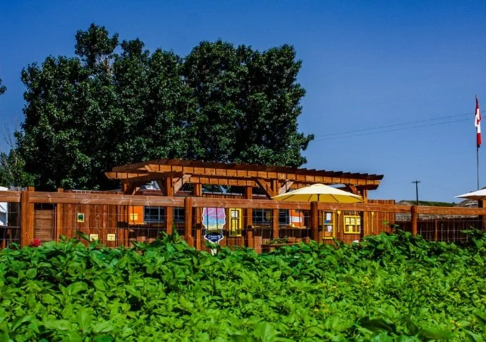 Sunny Flavours of Fall: Comfort Food & Family Fun at The Sunny Spot