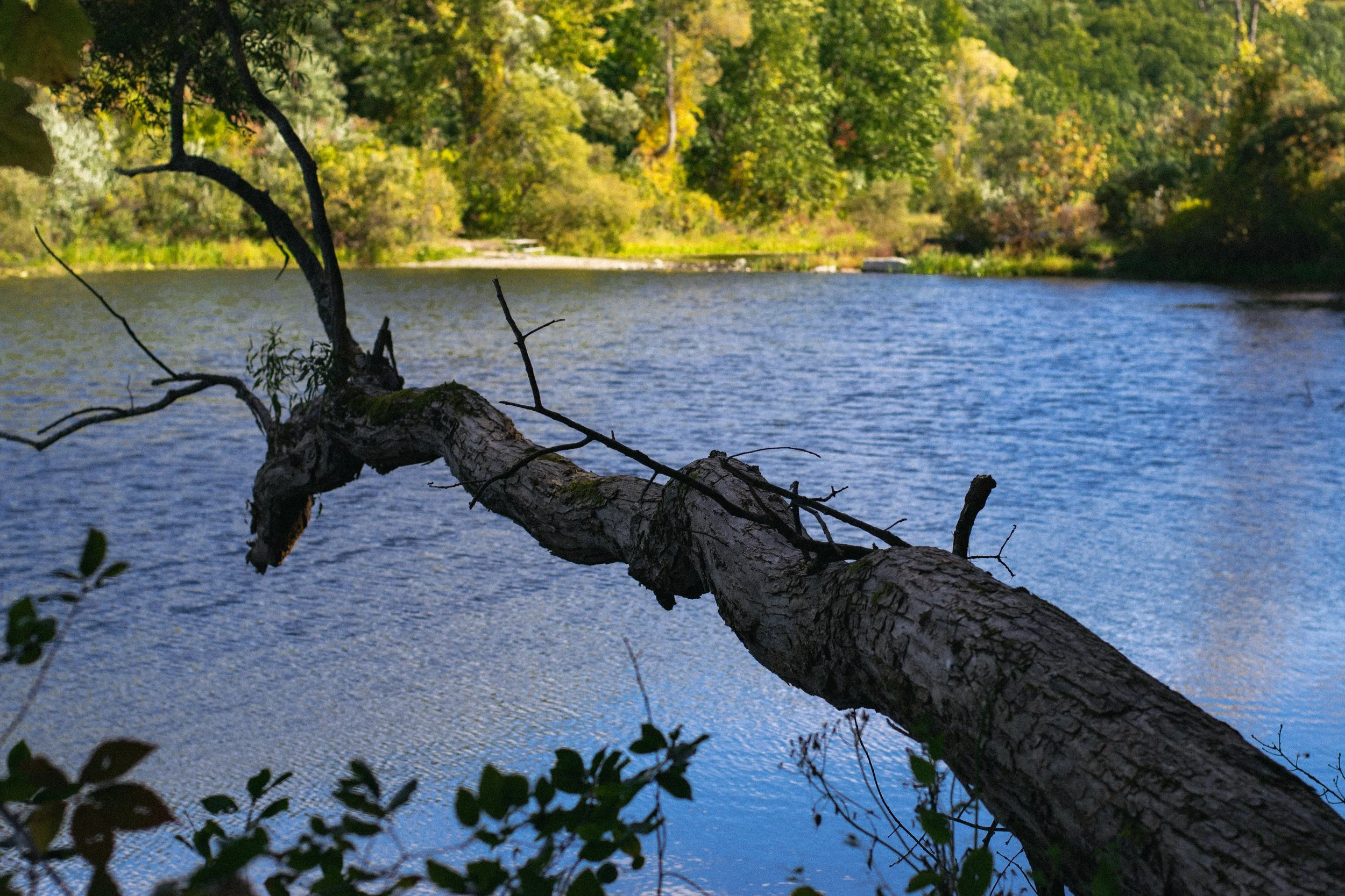 _DSC2996.jpg