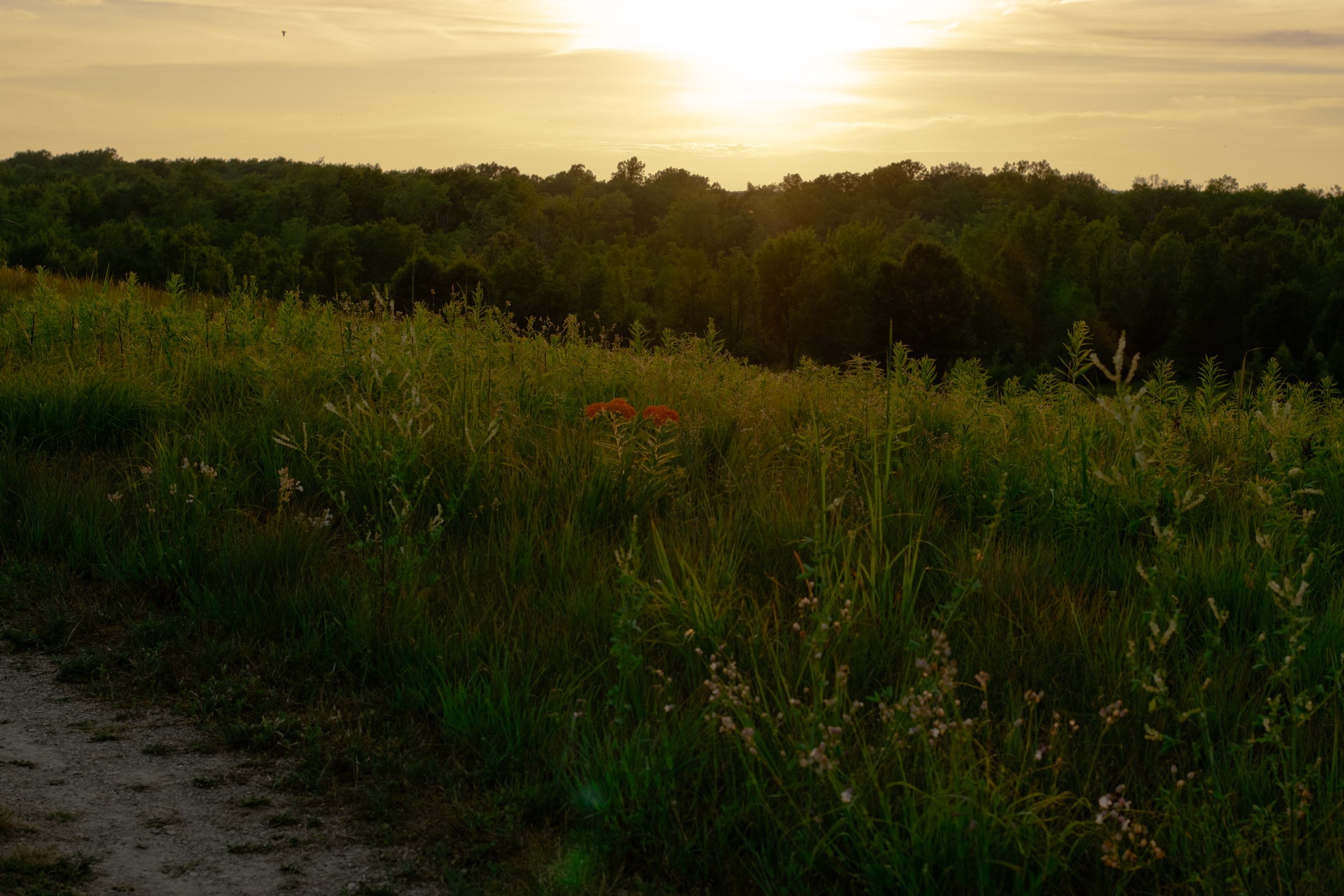 2009A7E6-8D37-4EA3-89BF-17DCD1556AF8.jpeg