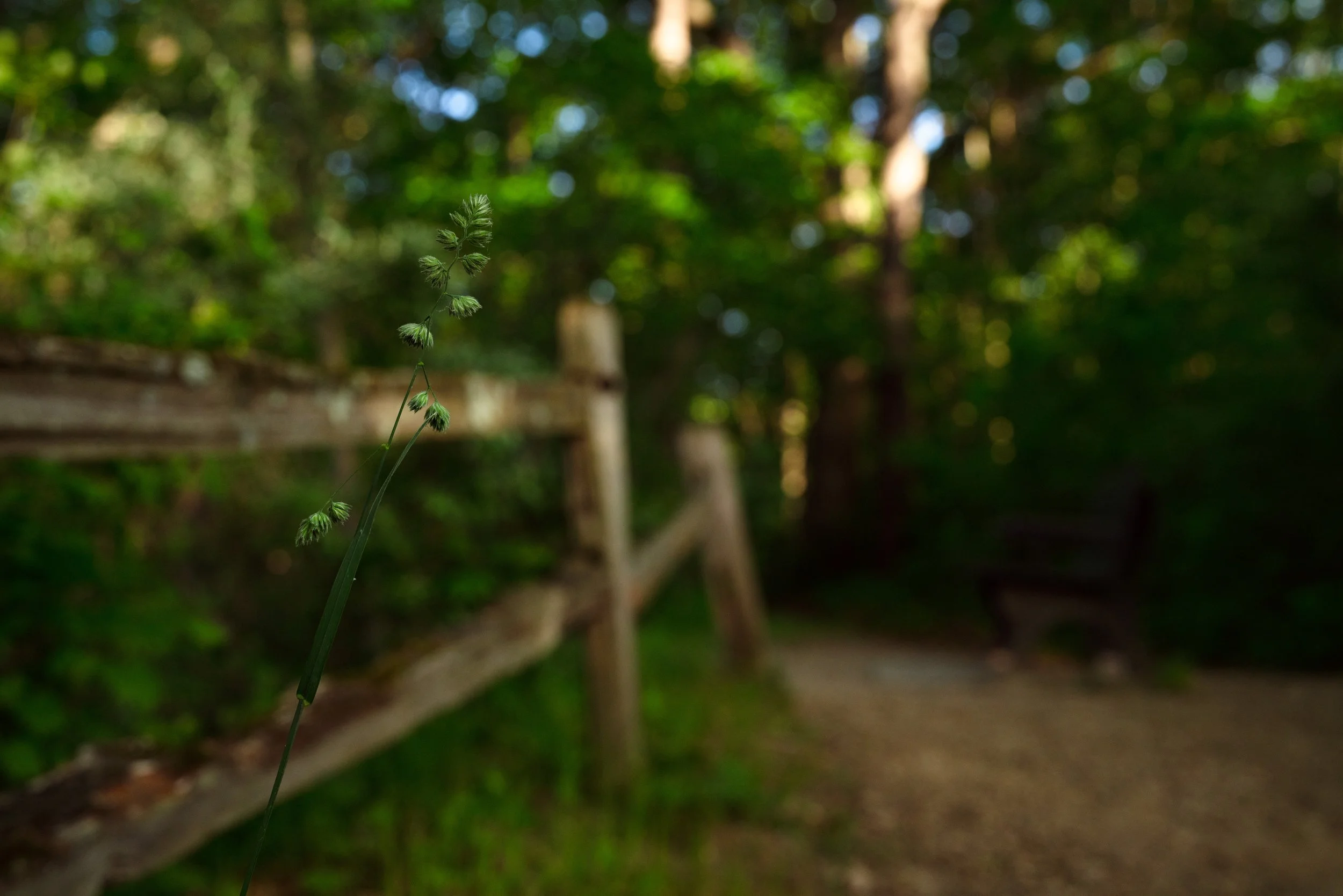_DSC5305.jpg