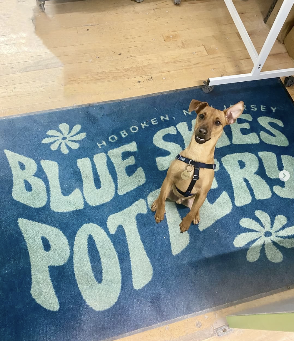The logo doormat inside the studio, with a pup on it