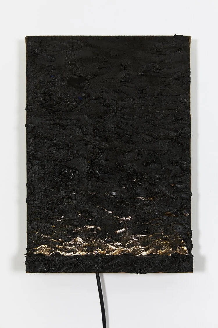 Sean Wadey - Titan #1,
Oil and 240V LED on linen.
30x43cm, 2019
