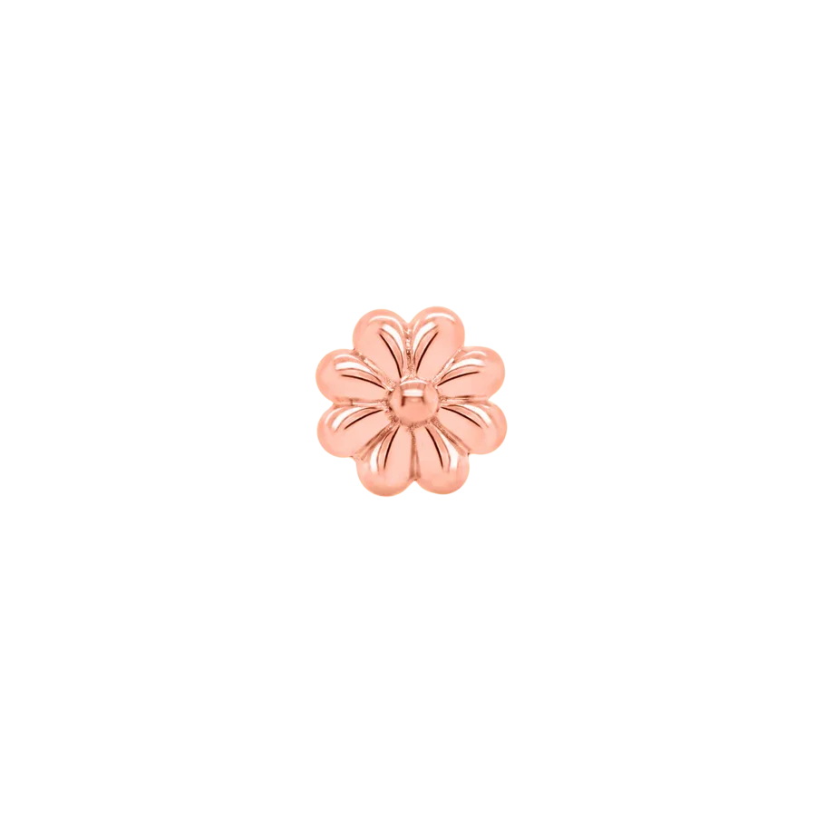 AsterRoseGold_1800x1800.png.jpg.webp