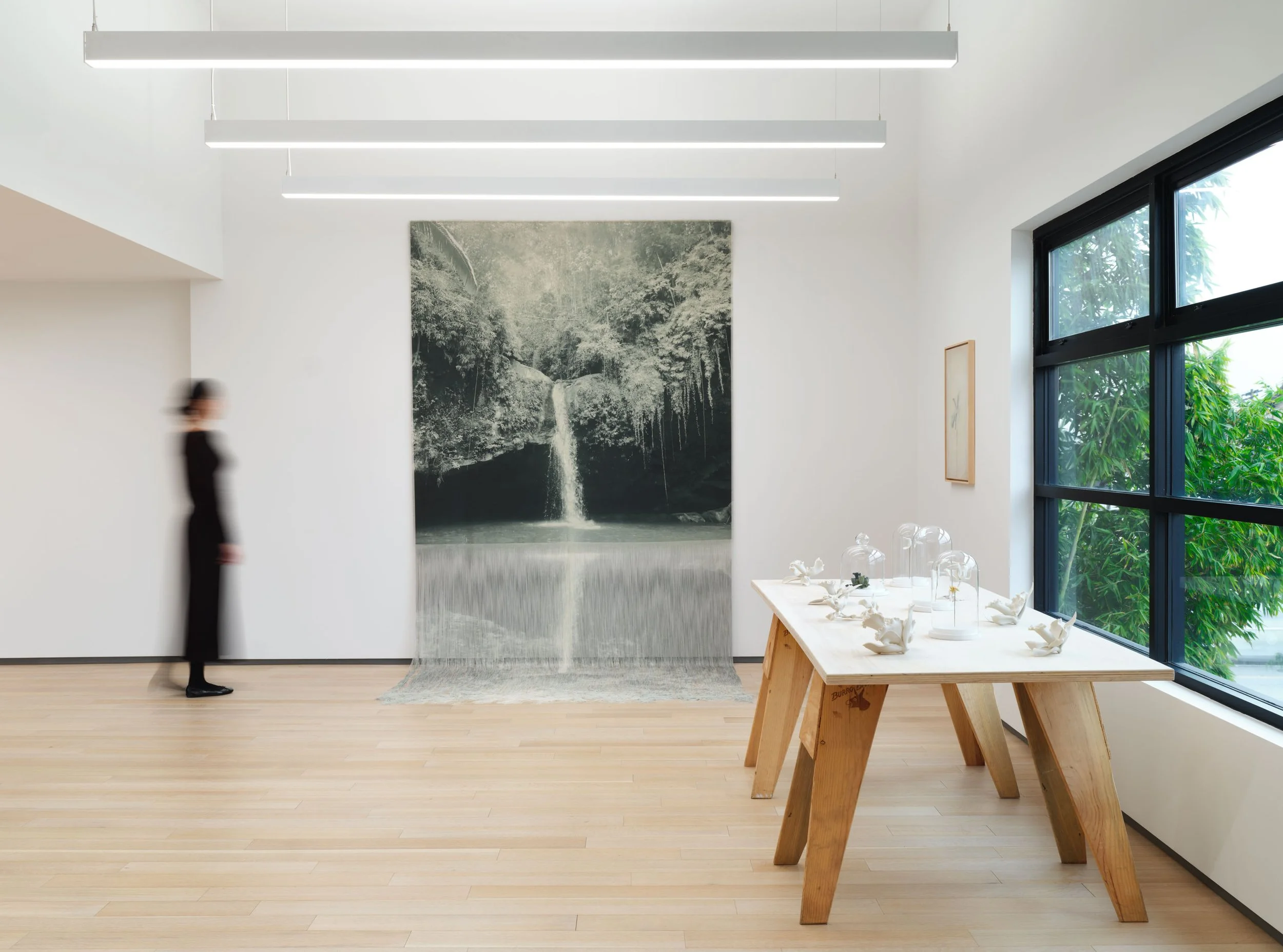 Ana González at Sean Kelly Los Angeles