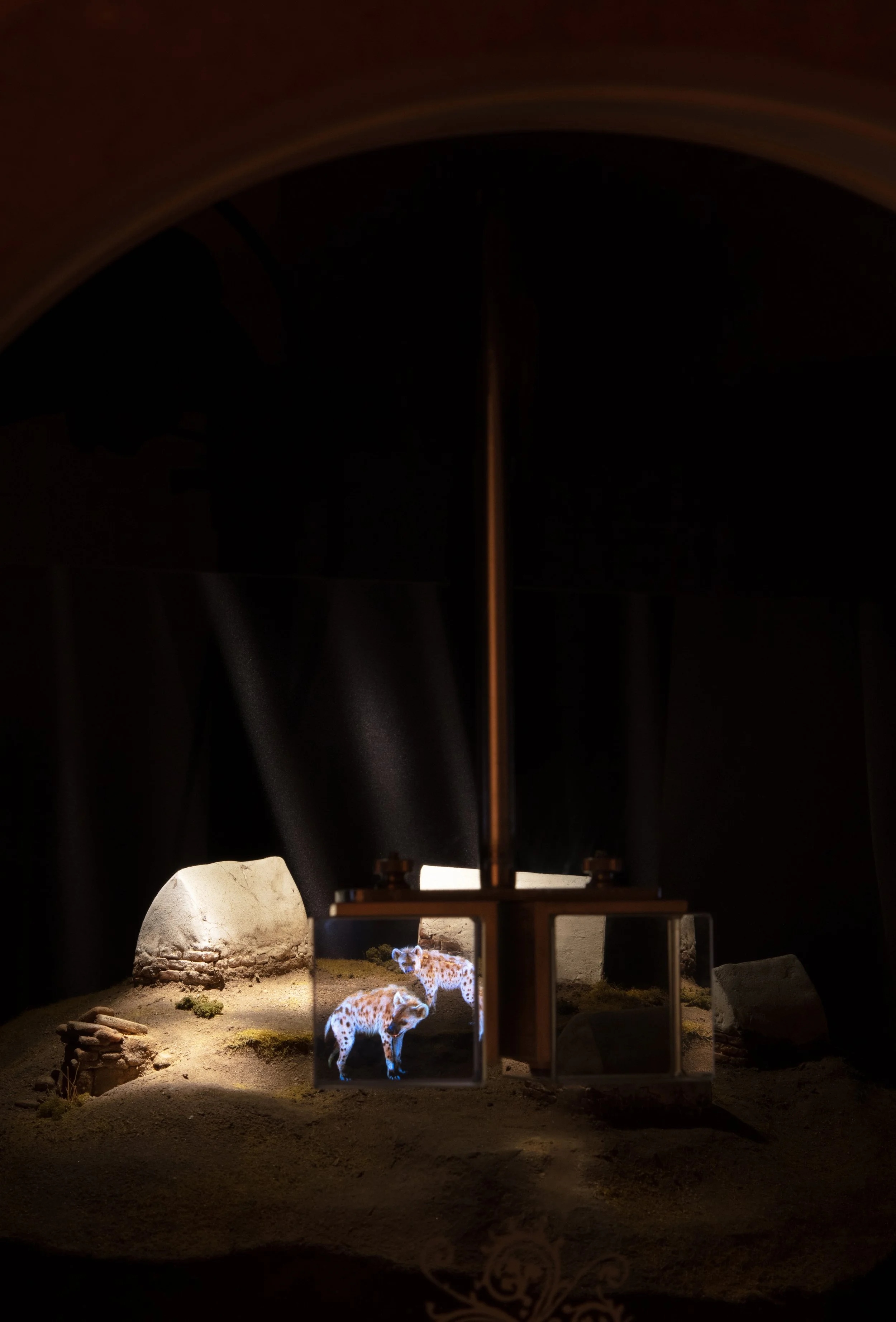 Museum of Jurassic Technology