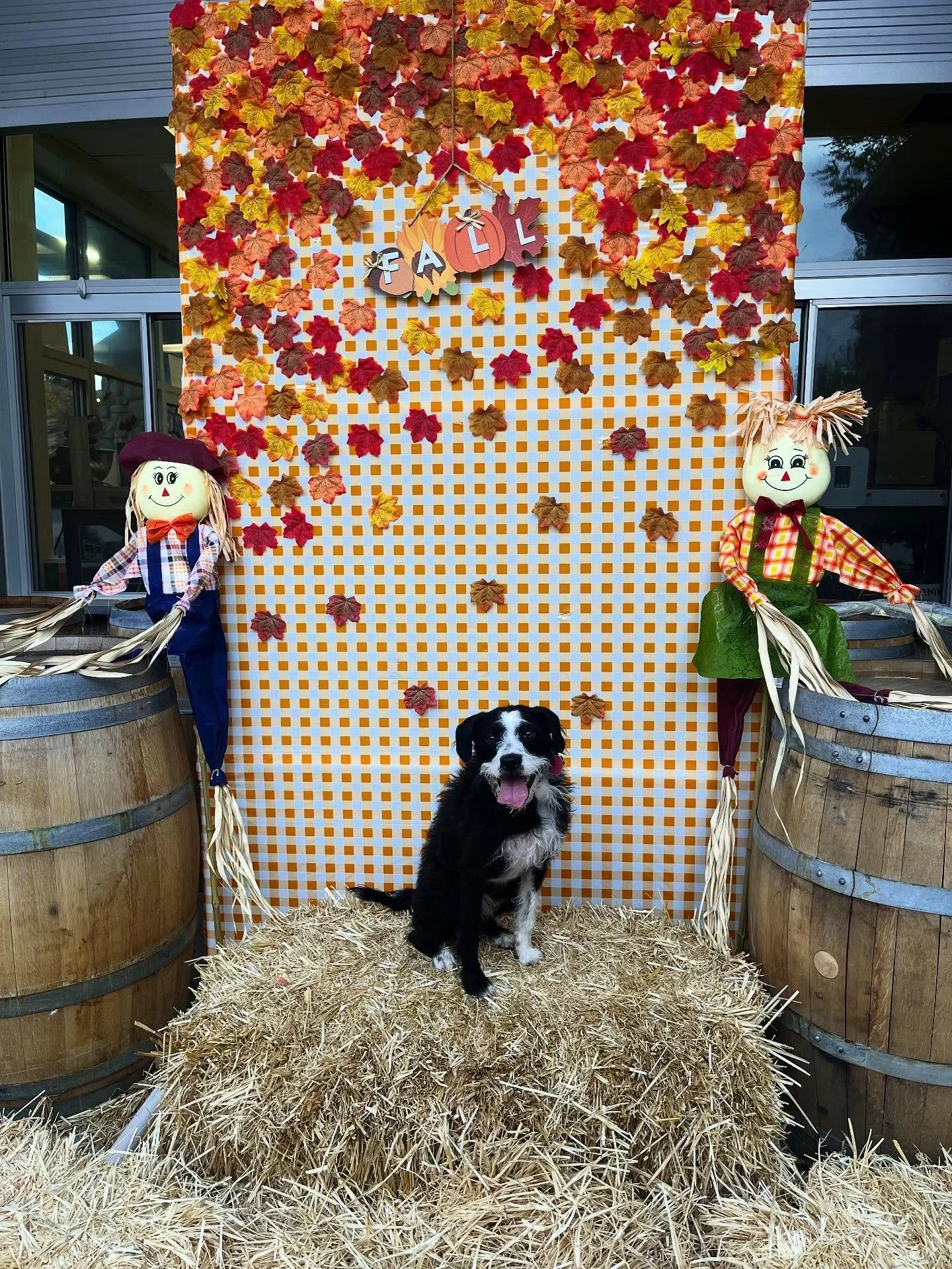 Stop by this Fall Break and strike a pose for a cute photo op moment! 📸 ❤️ 🍂