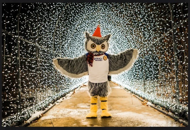 Hey friends! We&rsquo;ve got the best holiday combo idea- Come for the stunning Tracy Aviary Lightwalk and stay for our fun rides to complete the experience! We&rsquo;re right next door and only $3 tickets! Enjoy our delicious hot drinks, yummy snack