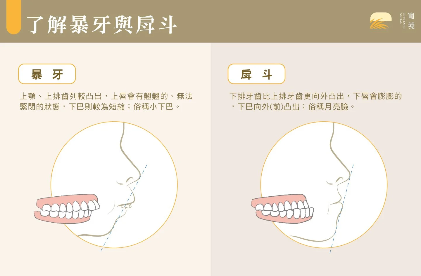 牙科知識索引頁圖片｜台北大直牙醫診所