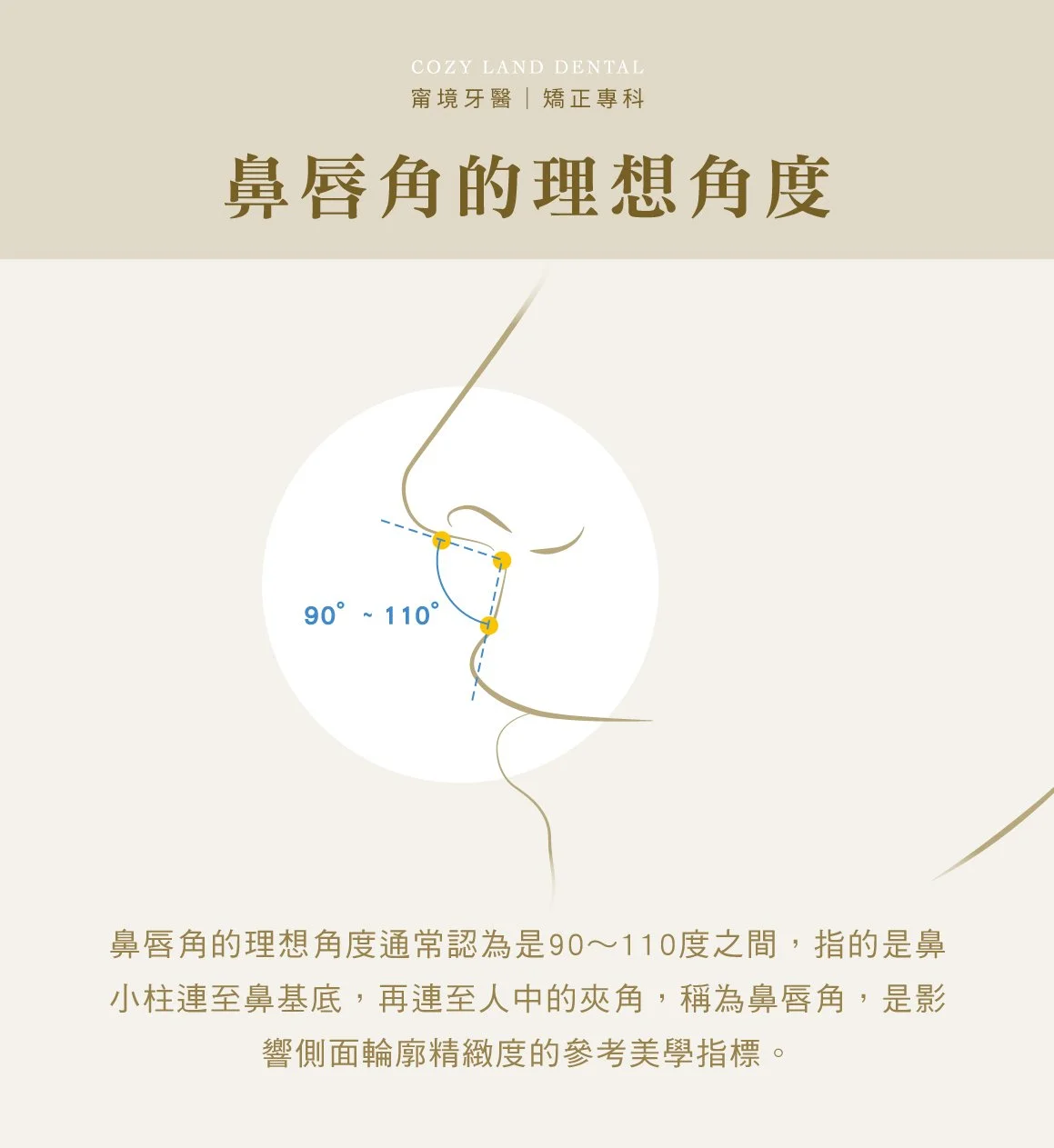 嘴凸檢查美鼻唇角