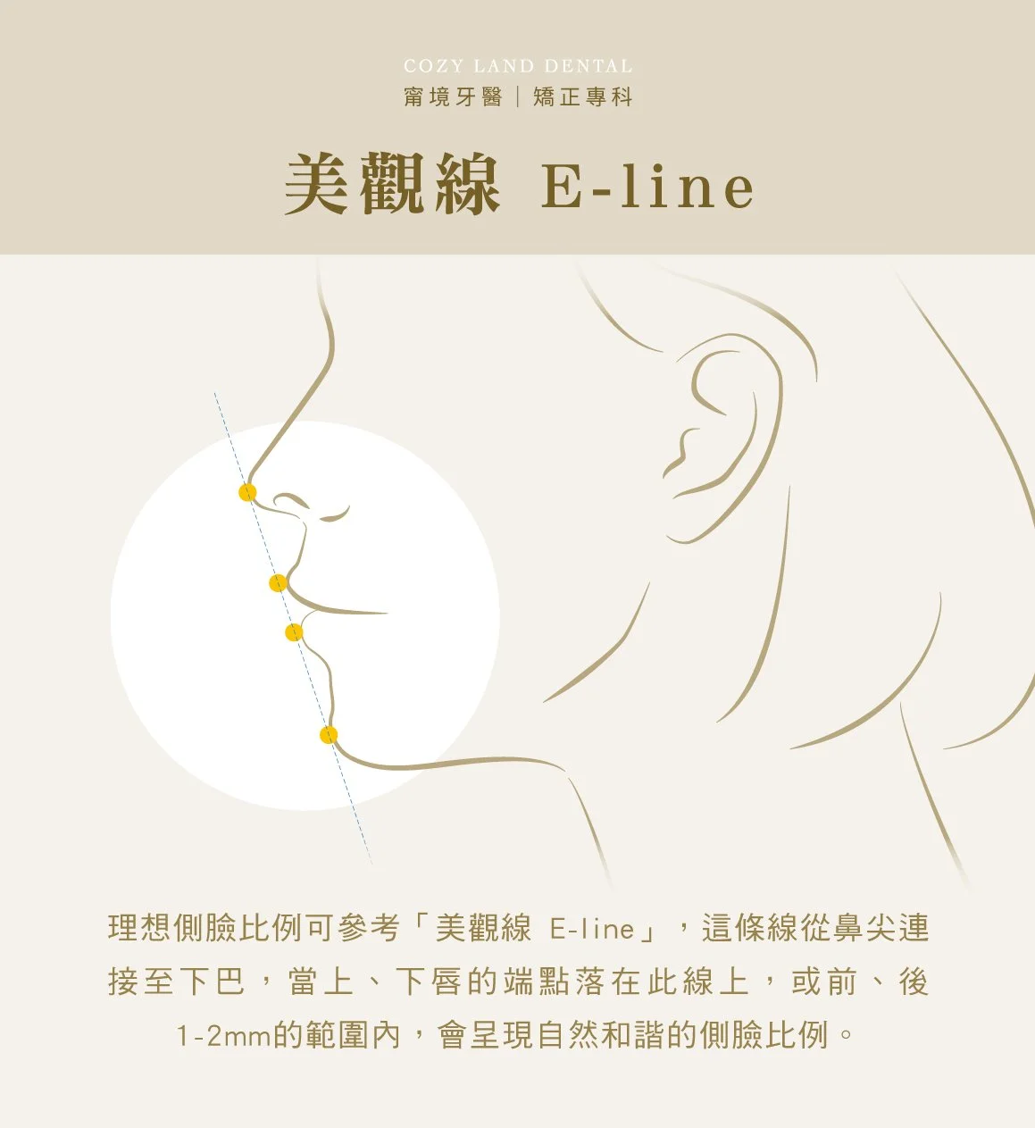 嘴凸檢查美觀線