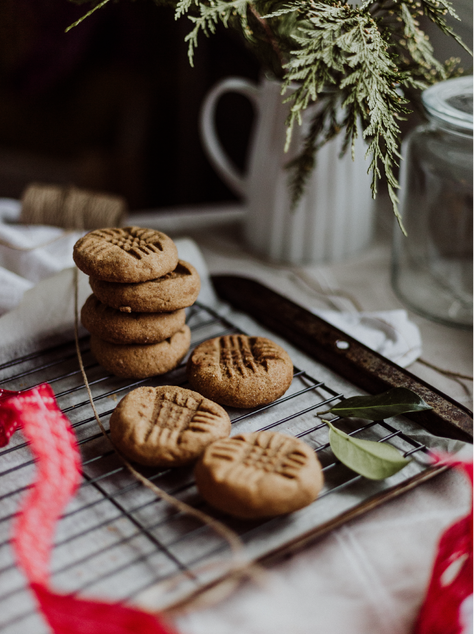 DECEMBER NOURISHMENT