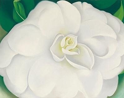 &ldquo;I&rsquo;ve been absolutely terrified every moment of my life and I&rsquo;ve never let it keep me from a single thing that I wanted to do.&rdquo;

-Georgia O&rsquo;Keeffe&rsquo;s 
White Camellia is a pastel on board executed in 1938