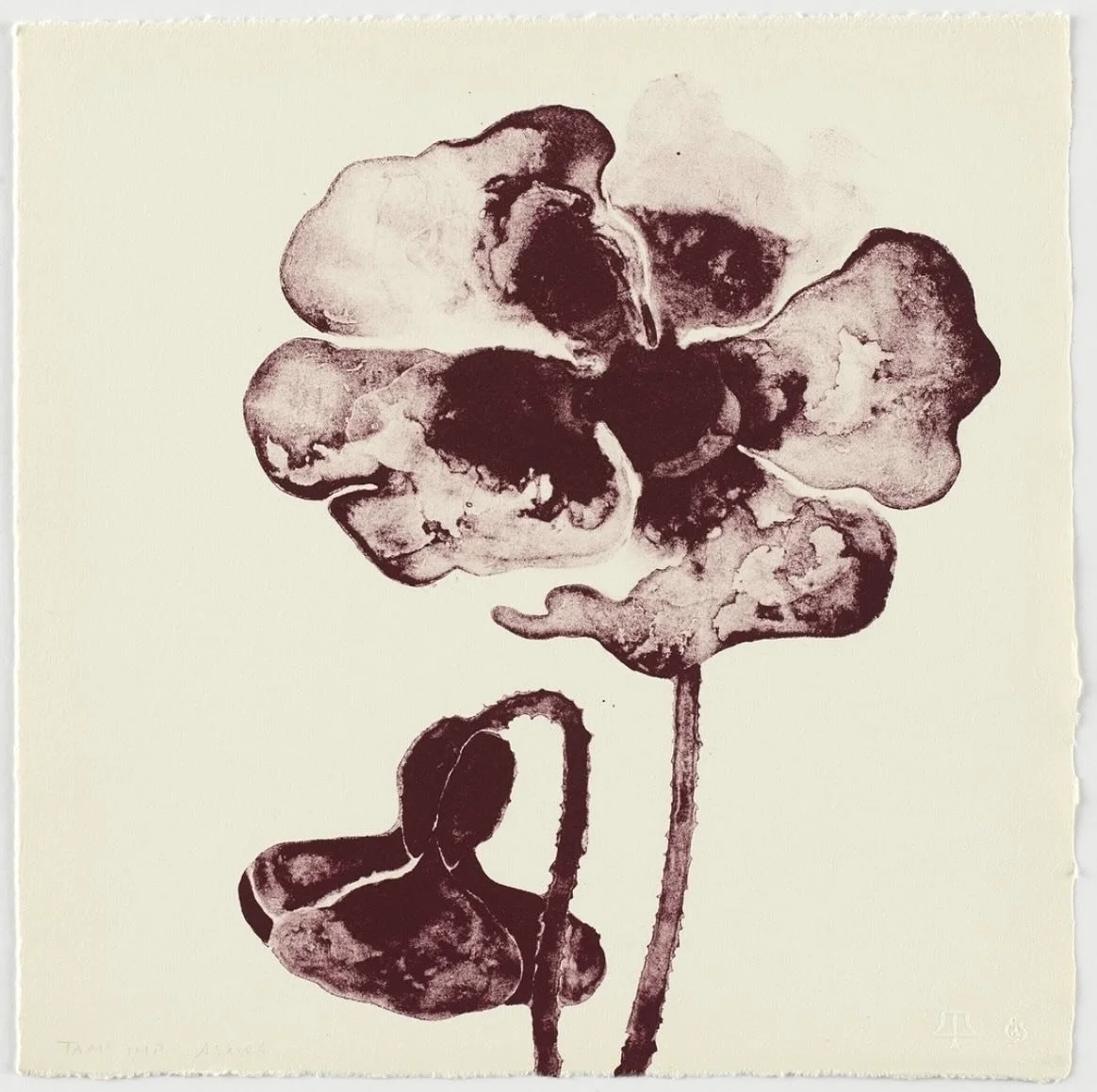 &ldquo;You can&rsquo;t force a plant to bloom. It has a cycle. You have to tend it and care for it and wait for the bloom to happen. If you don&rsquo;t take care of it, it dies. The more experiences you have like this, the more you begin to understan