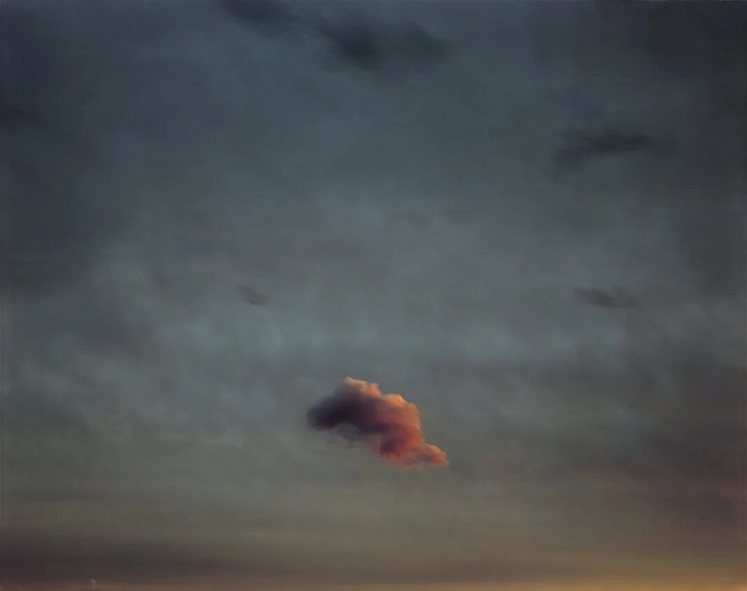 Plato called it Anima Mundi &mdash; the soul of the world.
The idea that everything in existence is connected by one living spirit. The same force that moves through you moves through the ocean, the wind, the stars.

🎞️🎨Richard Misrach, Diving Boar