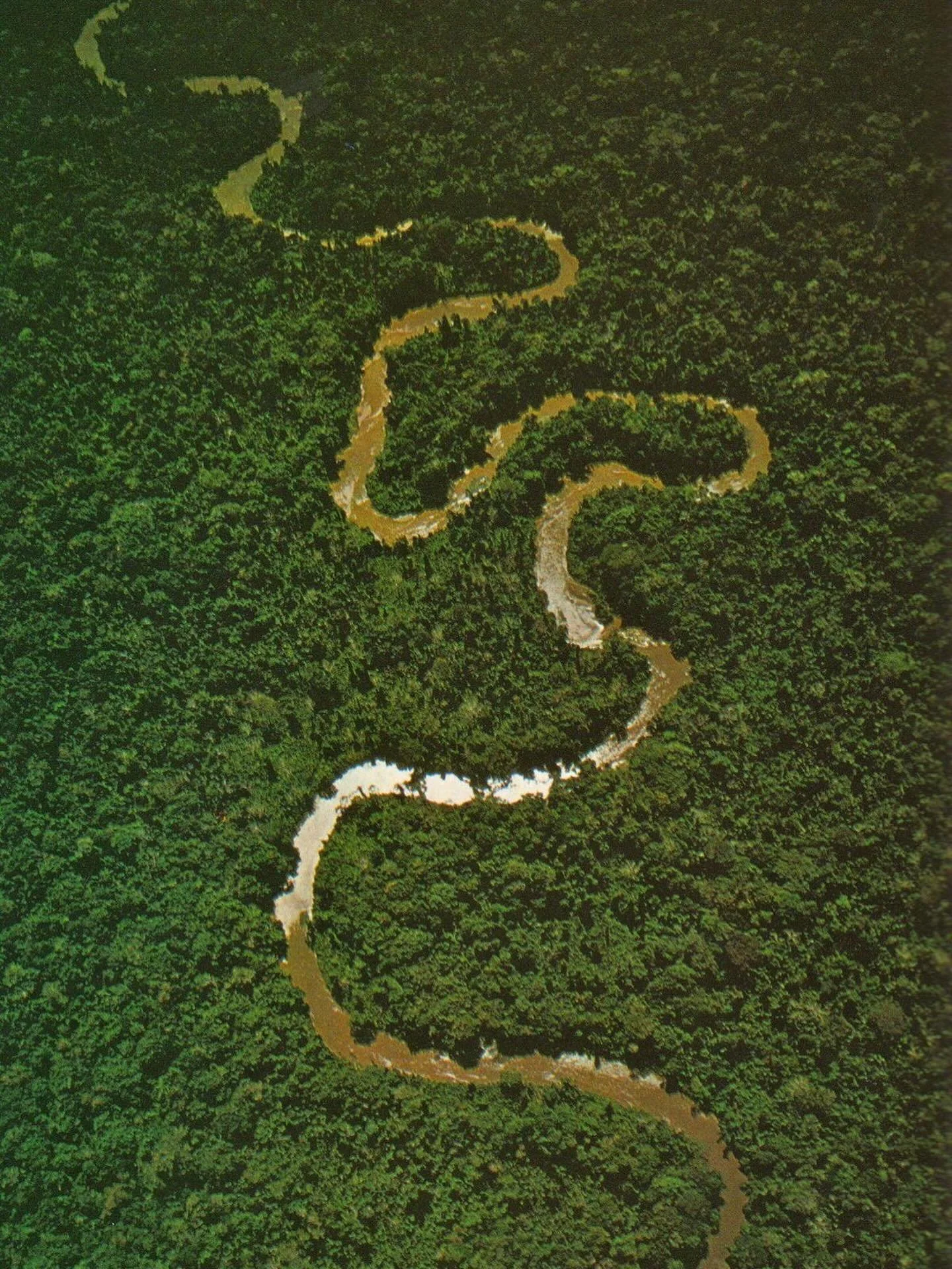 &ldquo;Rivers know this: there is no hurry. We shall get there some day.&rdquo;
― A.A. Milne, Winnie-the-Pooh

Juru&aacute; River flows from Peru into Brazil for over 3,000 km and is one of the main tributaries of the Amazon River. It joins the river