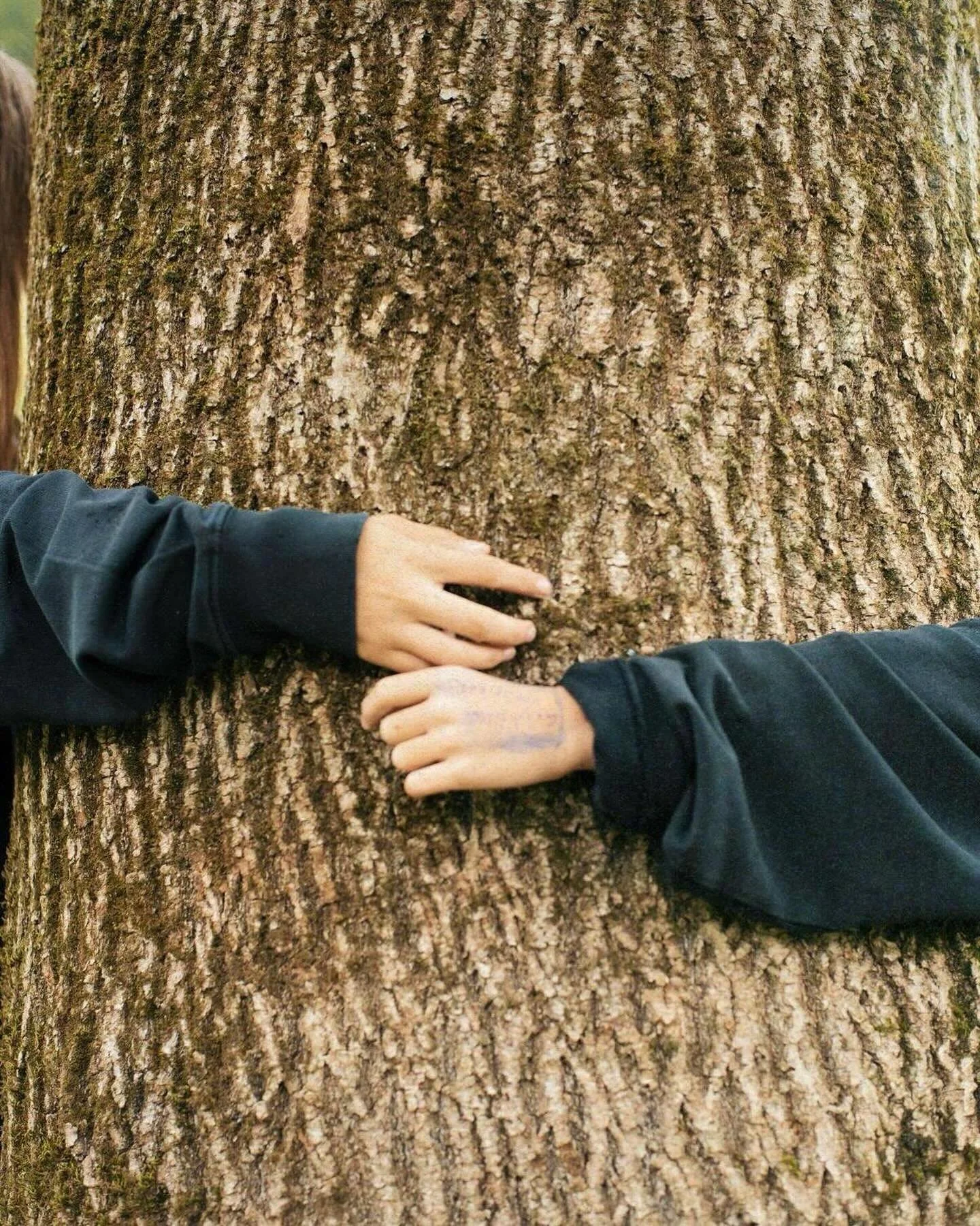 Happy Earth day 🌍💚

&ldquo;Learn about the pine from the pine.&rdquo;
&mdash; Bashō