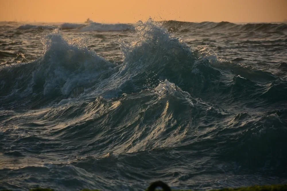 It&rsquo;s World Oceans Day 🌊

 &ldquo;Meditation and water are wedded forever.&rdquo;
&mdash; Herman Melville, Moby-Dick

📸 Essam Higazi for National Geographic