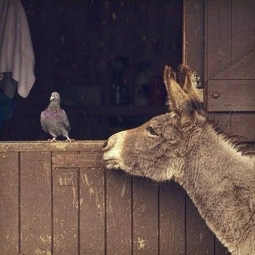&ldquo;The meeting of two personalities is like the contact of two chemical substances: if there is any reaction, both are transformed.&rdquo;
 &mdash; Carl Gustav Jung
⠀⠀⠀⠀⠀⠀⠀⠀⠀
📸 BlackCat Photos on Getty Images
