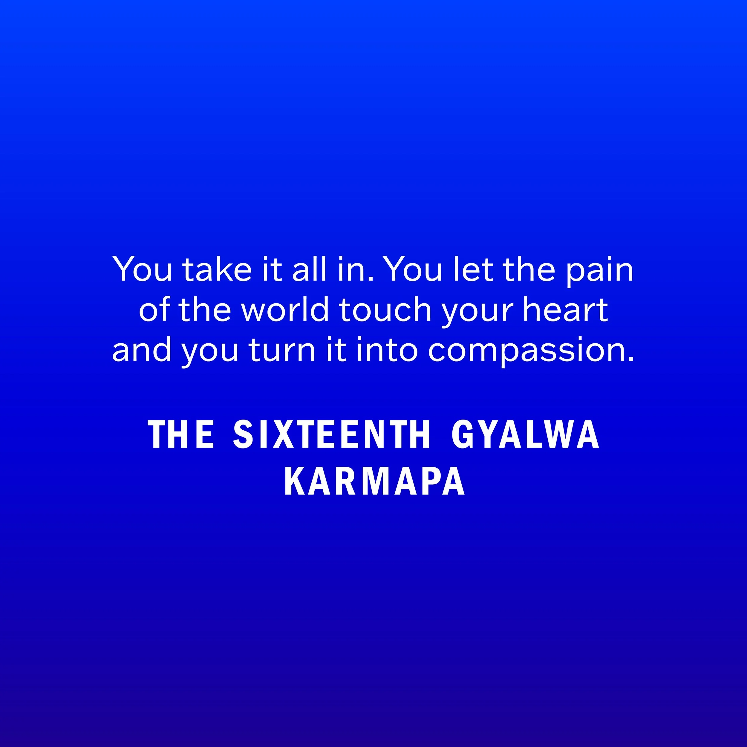 The Sixteenth Gyalwa Karmapa was Ch&ouml;gyam Trungpa&rsquo;s main teacher, who in turn was Ani Pema Ch&ouml;dr&ouml;n&rsquo;s teacher. Grateful these teachings get passed down over time and sometimes, if we&rsquo;re lucky, fall into our laps 💙

&ld