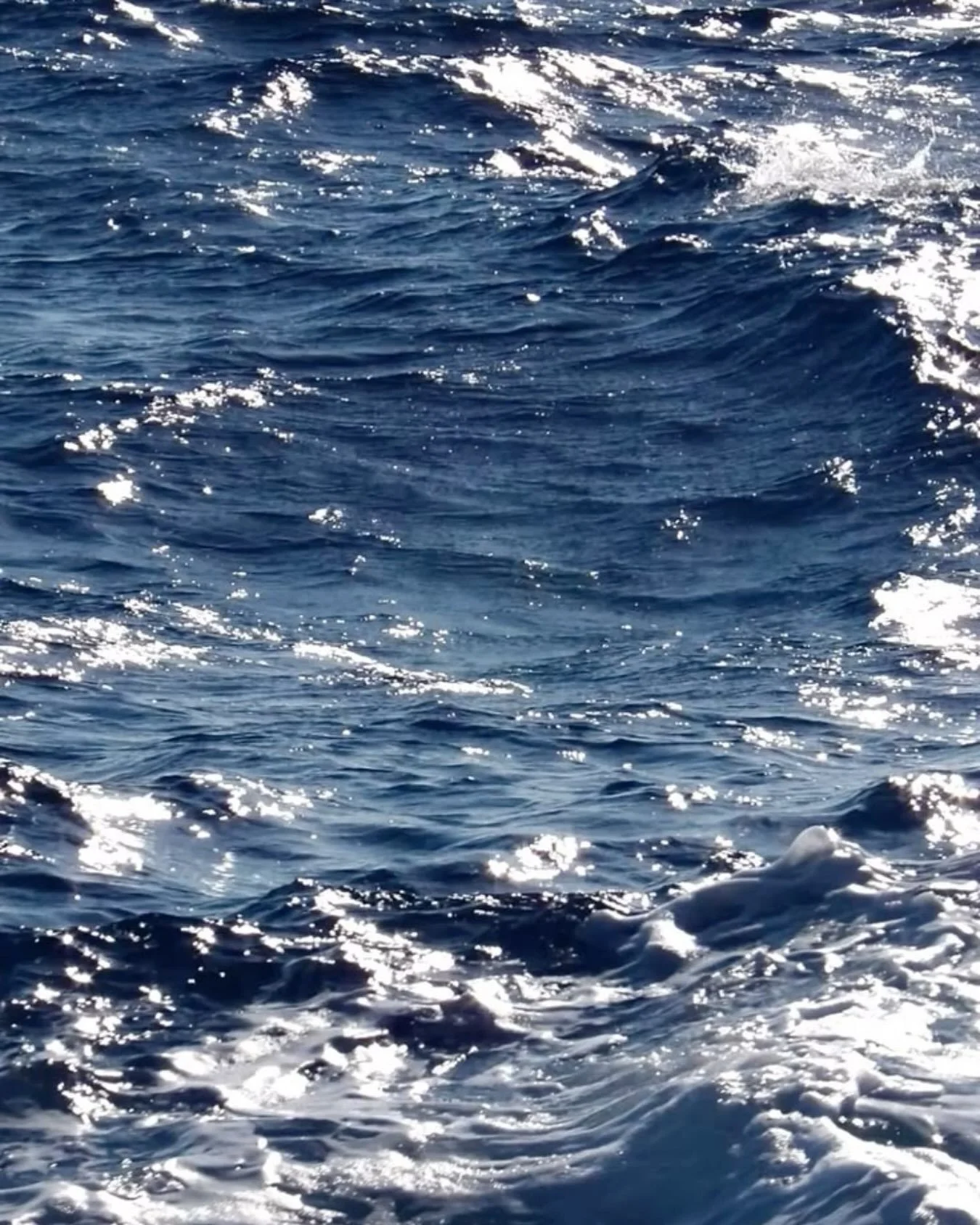 &ldquo;The manifestation or the disappearance of the wave does not lessen the presence of the ocean.&rdquo;
&mdash; Thich Nhat Hanh, Touching the Earth