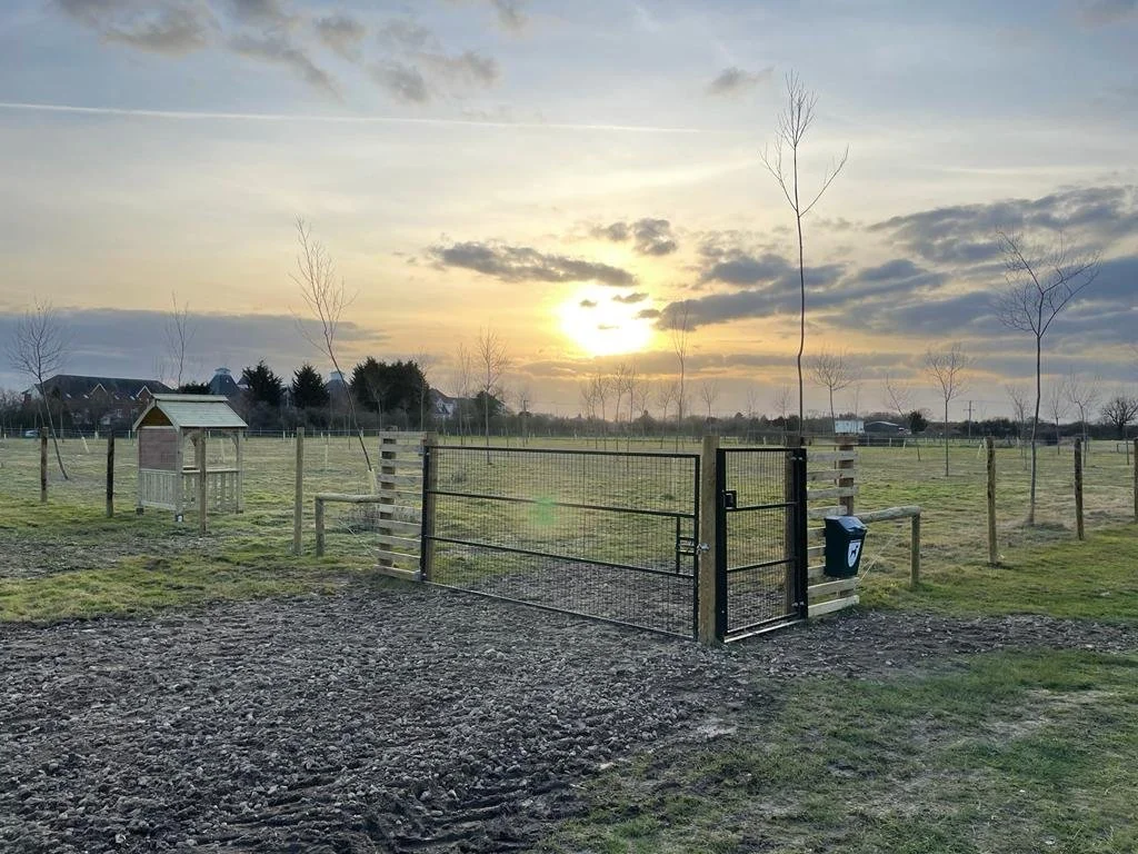 WhatsApp Image 2022-02-11 at 18.34.29 (2).jpeg