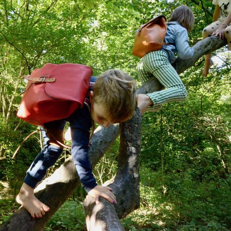 Waldkindergarten? 5 unschlagbare Vorteile und warum du dein Kind dorthin schicken solltest!