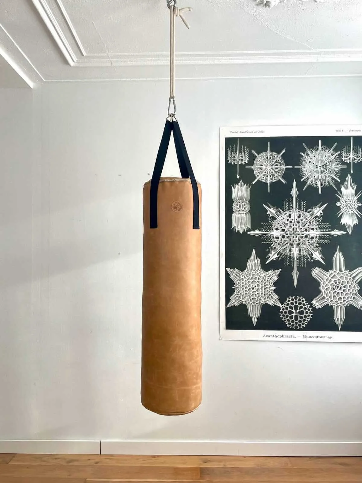 Boxing training at home: tips and ideas for beginners (with and without a trainer)