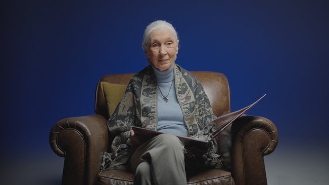 Jane Goodall, Primatologist, Author and Anthropologist