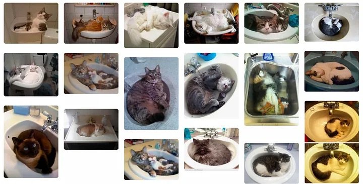 kat in sink.jpeg