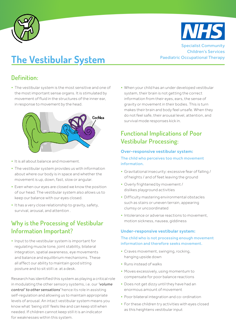 VestibularSystem_SH_V2.png