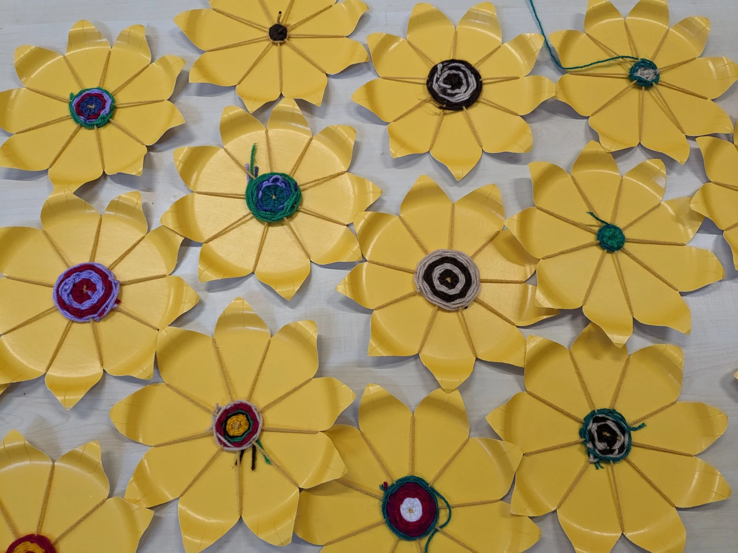 Newsletter - Term 3, February '26