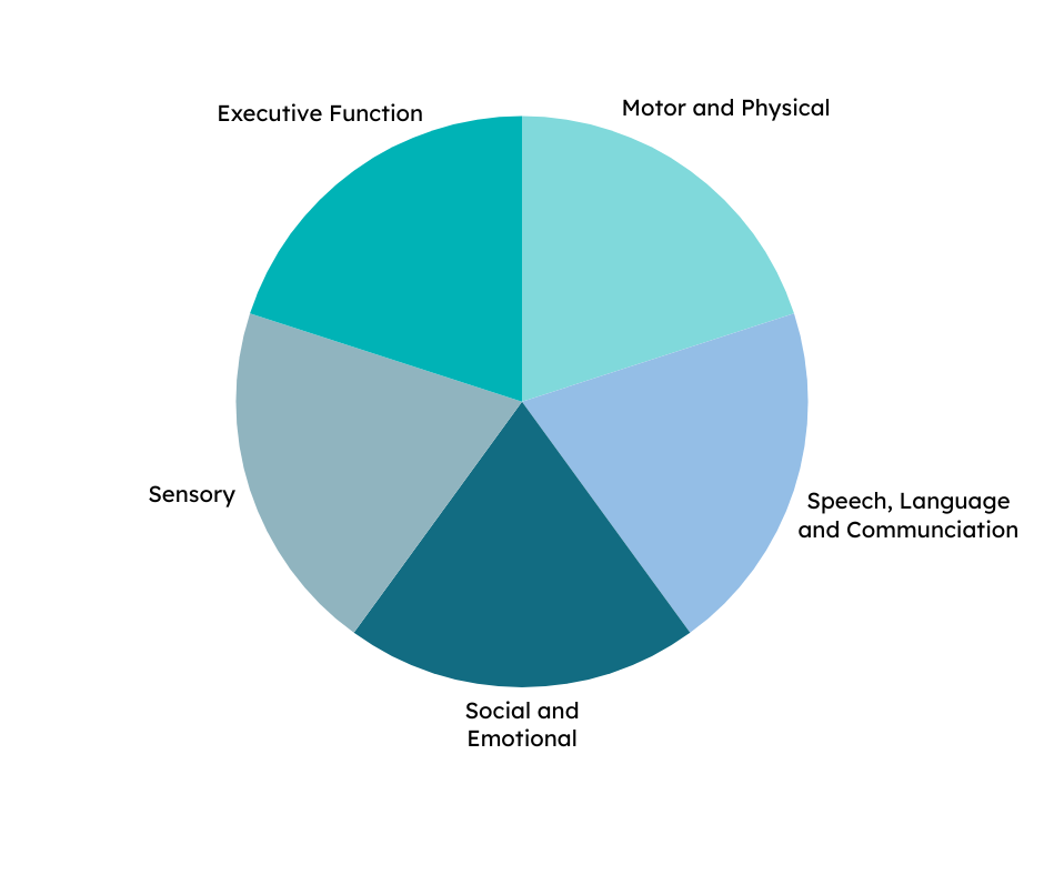 Circle divided into 5 equal segments each, reading clockwise they are labled Executive Function, Motor and Physical, Speech, Language and Communication, Social and Emotional, Sensory