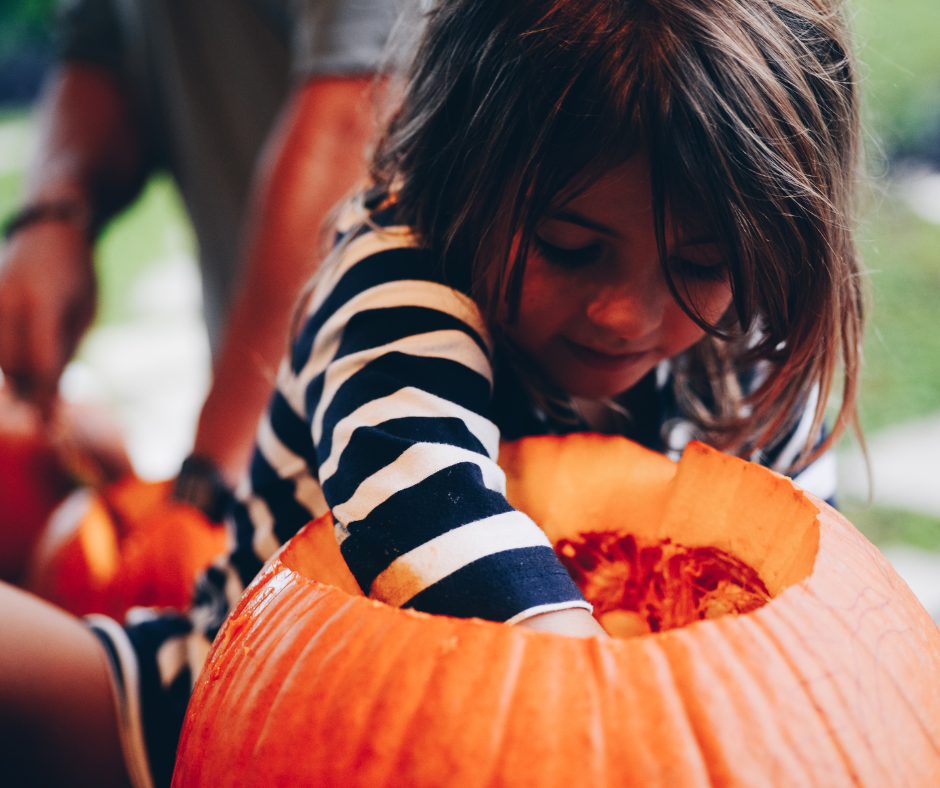 Our Term 1 Newsletter is here